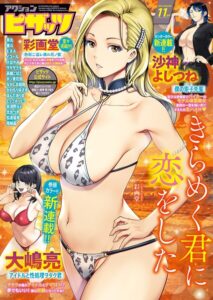 アクションピザッツ2026年11月号
