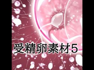 受精卵素材5