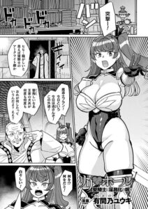 リリ・ホール 聖騎士と淫具化の呪い（単話）